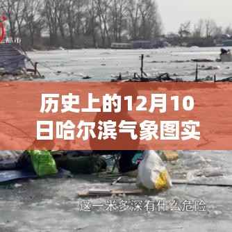 揭秘历史上的十二月十日哈尔滨气象风云变幻,实时预报与气象图解读