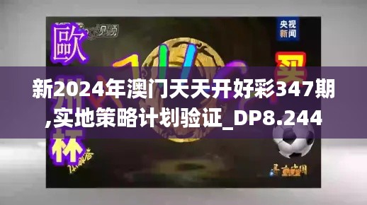 新2024年澳门天天开好彩347期,实地策略计划验证_DP8.244