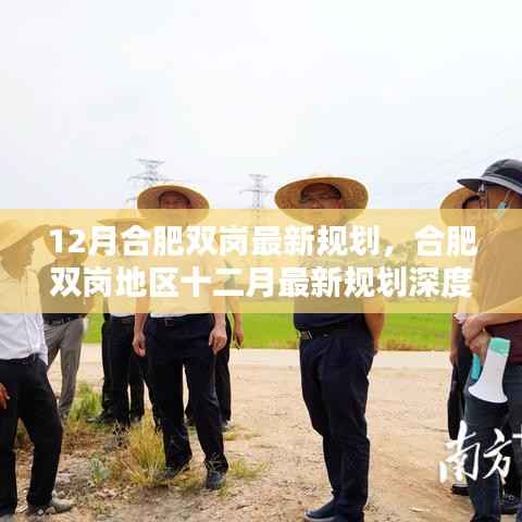 合肥双岗地区12月最新规划深度评测与介绍