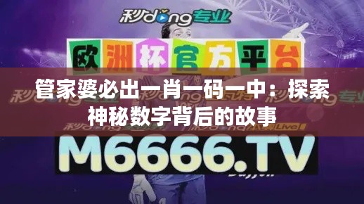 管家婆必出一肖一码一中:探索神秘数字背后的故事