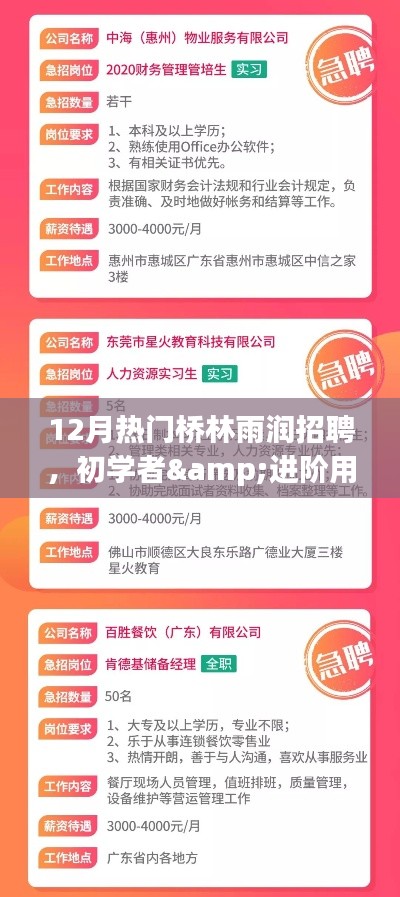 12月热门桥林雨润招聘攻略,适合初学者与进阶用户的全攻略