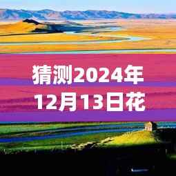 花湖开发区未来规划揭秘,秘密花园的温馨日常猜想(2024年12月13日版)