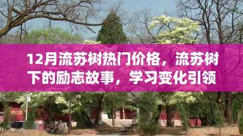 流苏树下的励志故事,热门价格引领自信与成就,照亮人生旅途