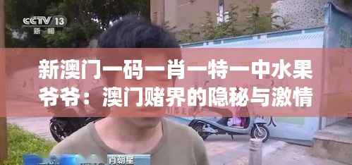 新澳门一码一肖一特一中水果爷爷:澳门赌界的隐秘与激情