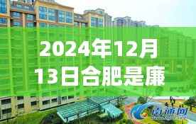 合肥廉租房新政策下的温馨故事,小屋里的快乐与友情的诞生(2024年12月)