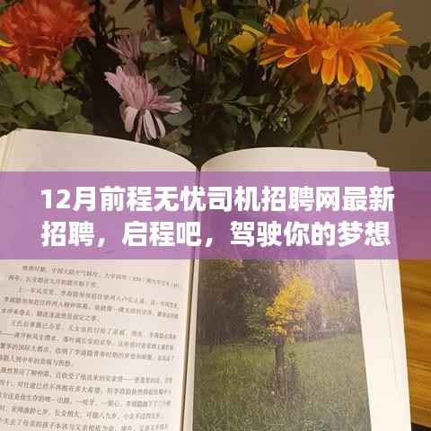 最新司机招聘启事,驾驶梦想,前程无忧,与自然美景相伴的宁静之旅