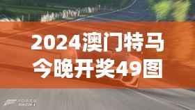 2024澳门特马今晚开奖49图:澳门特马,今夜的速度与激情