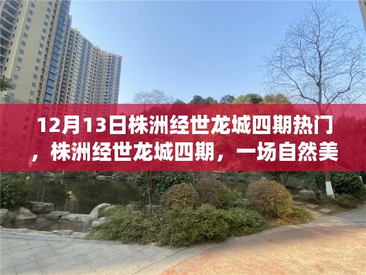 株洲经世龙城四期,自然美景的探索之旅受热捧