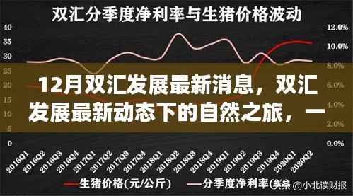 双汇发展最新动态,自然之旅的心灵洗涤与内心平静的追求