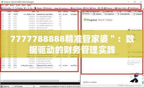 7777788888精准管家婆":数据驱动的财务管理实践