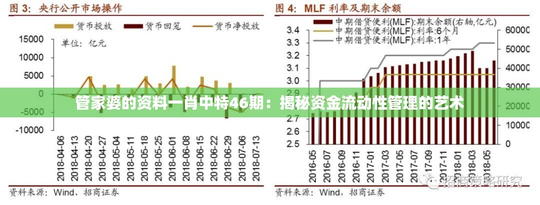 管家婆的资料一肖中特46期:揭秘资金流动性管理的艺术