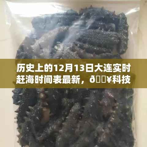 科技引领赶海新纪元,大连实时赶海时间表神器发布,最新赶海时间表一网打尽!