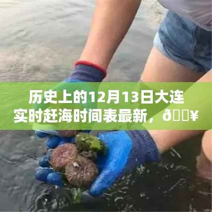 科技引领赶海新纪元,大连实时赶海时间表神器发布,最新赶海时间表一网打尽!