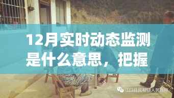 12月实时动态监测解析，洞悉未来，学习变化成就自信与辉煌