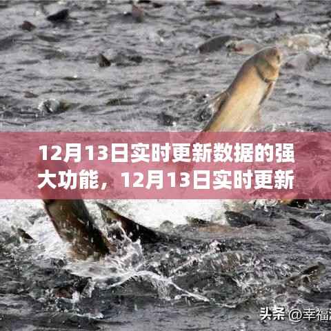 探索最新技术重塑数据实时性,12月13日实时更新数据的强大功能