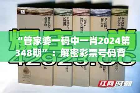 “管家婆一码中一肖2024第348期”:解密彩票号码背后的规律