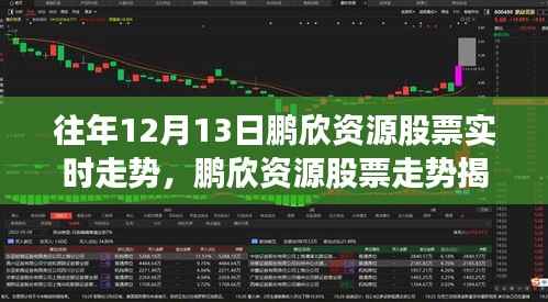 鹏欣资源股票走势揭秘,科技引领投资新纪元的前卫体验,实时走势分析(往年12月13日)