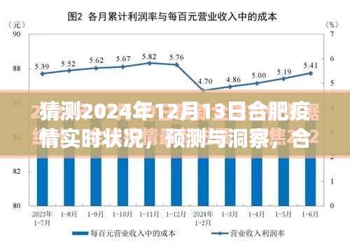 合肥疫情预测洞察,展望2024年12月13日的实时状况