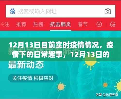 12月13日疫情实时动态与温馨时光下的日常趣事