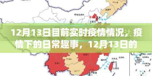 12月13日疫情实时动态与温馨时光下的日常趣事
