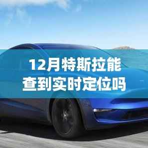 特斯拉实时定位背后的故事,变化、自信与成就的力量探索,12月定位功能解析