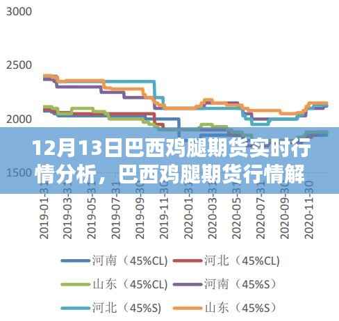 巴西鸡腿期货行情解析，实时动态与未来趋势（十二月十三日数据报告）