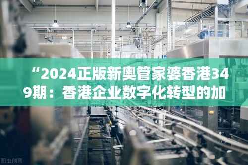 “2024正版新奥管家婆香港349期:香港企业数字化转型的加速器”