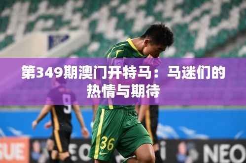 第349期澳门开特马:马迷们的热情与期待