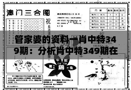 管家婆的资料一肖中特349期:分析肖中特349期在财务管理中的优势
