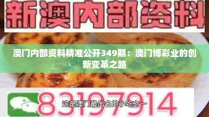 澳门内部资料精准公开349期：澳门博彩业的创新变革之路