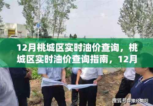 桃城区实时油价查询指南,12月油价走势分析与建议
