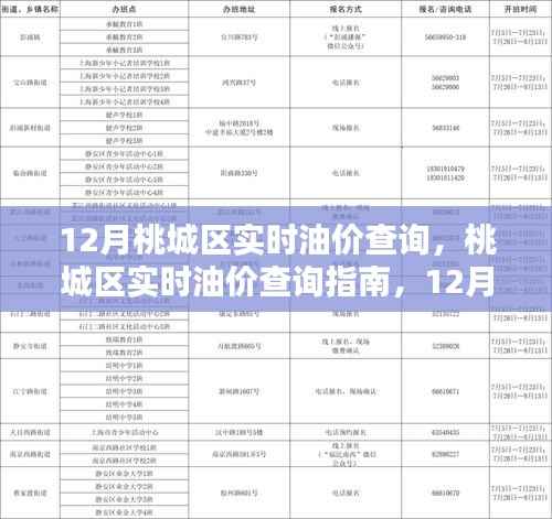 桃城区实时油价查询指南,12月油价走势分析与建议