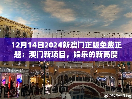 12月14日2024新澳门正版免费正题:澳门新项目,娱乐的新高度