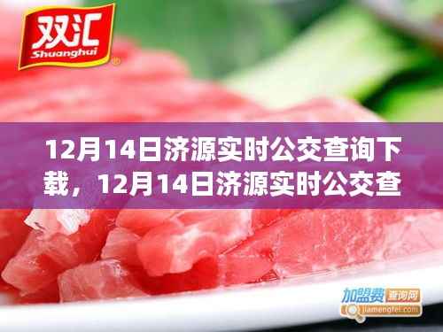 济源实时公交查询下载产品深度评测与介绍,最新下载体验及功能解析(12月14日)