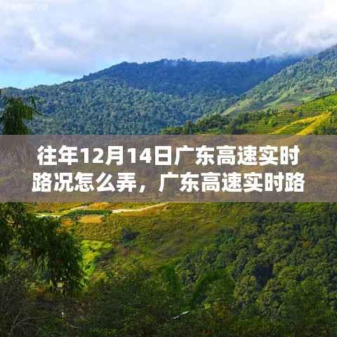 广东高速实时路况攻略,掌握路况信息,与自然美景的不期而遇之道