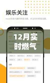 手把手教你查12月实时燃气费,小红书热门推荐指南