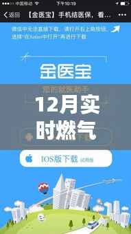 手把手教你查12月实时燃气费，小红书热门推荐指南