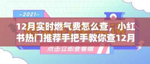 手把手教你查12月实时燃气费,小红书热门推荐指南