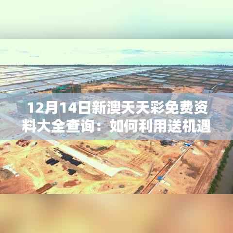 12月14日新澳天天彩免费资料大全查询:如何利用送机遇创造财富
