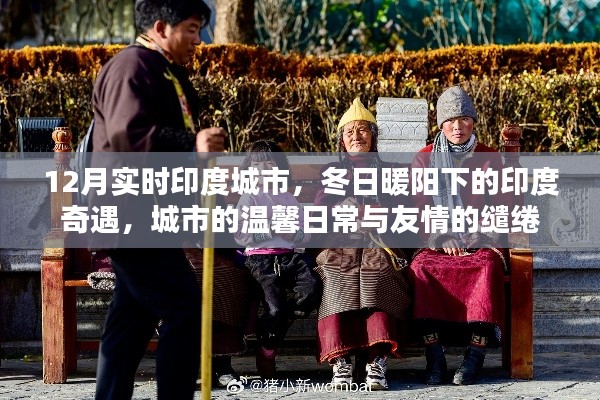 冬日暖阳下的印度城市奇遇,友情与温馨的缱绻时光