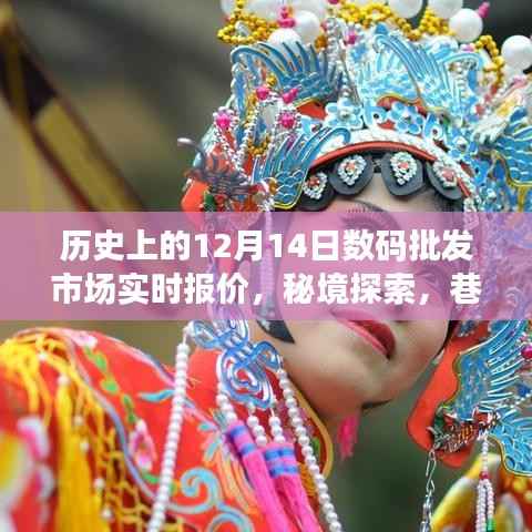 历史上的十二月十四日数码批发市场实时报价揭秘,巷子深处的数码故事与秘境探索