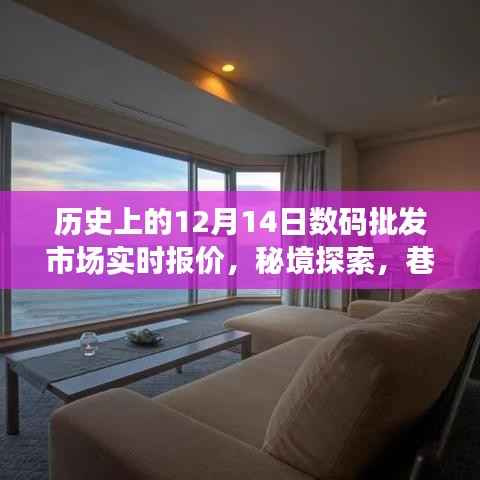 历史上的十二月十四日数码批发市场实时报价揭秘,巷子深处的数码故事与秘境探索