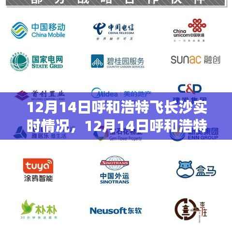 12月14日呼和浩特飞往长沙航班实时动态及飞行指南