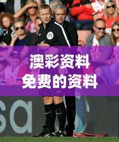 澳彩资料免费的资料大全wwe349期:深入剖析每场比赛背后的数据力量