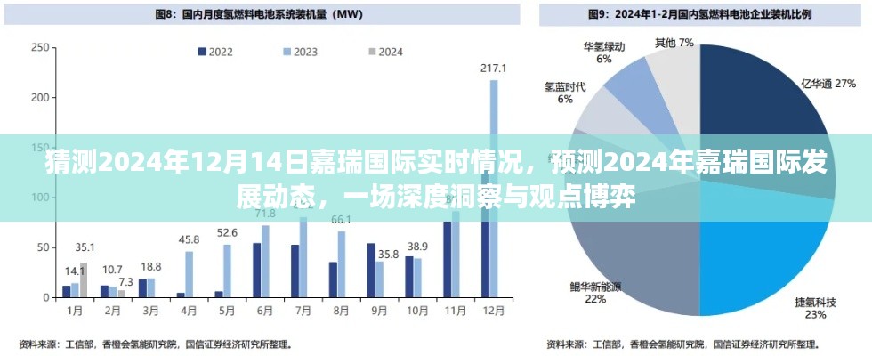 深度洞察与观点博弈,嘉瑞国际2024年发展动态预测及实时情况展望