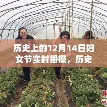 历史上的妇女节,回顾与影响——聚焦12月14日妇女节实时播报