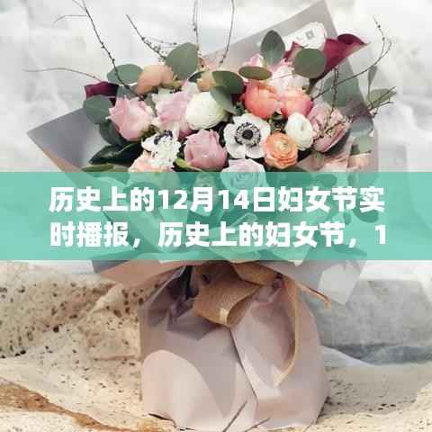 历史上的妇女节,回顾与影响——聚焦12月14日妇女节实时播报