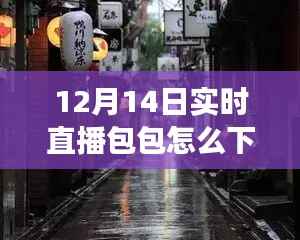 探秘时尚宝藏,12月14日直播教你下载独特包包,开启寻包之旅!
