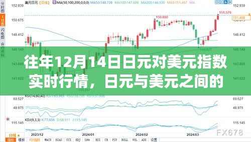 温馨的金融日常,日元与美元在12月14日的实时行情故事