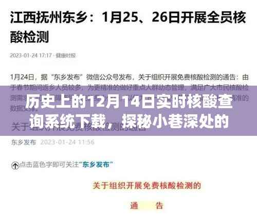历史上的十二月十四日实时核酸查询系统与特色小店宝藏之旅的探秘体验下载分享